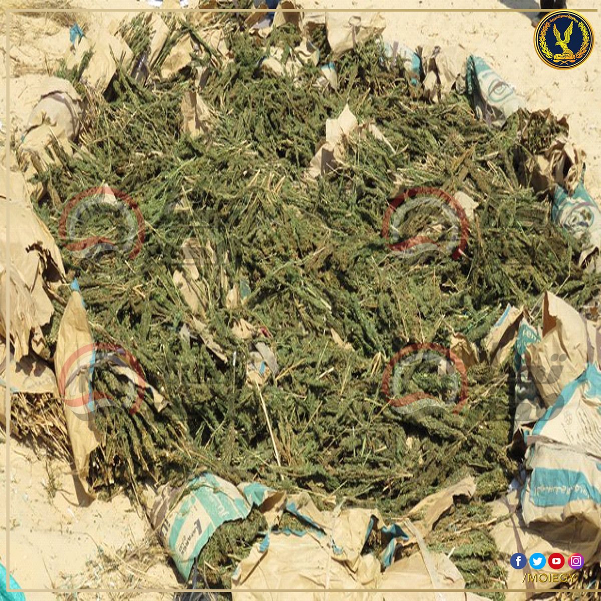 307693454_469989835164406_7458074410709957774_n