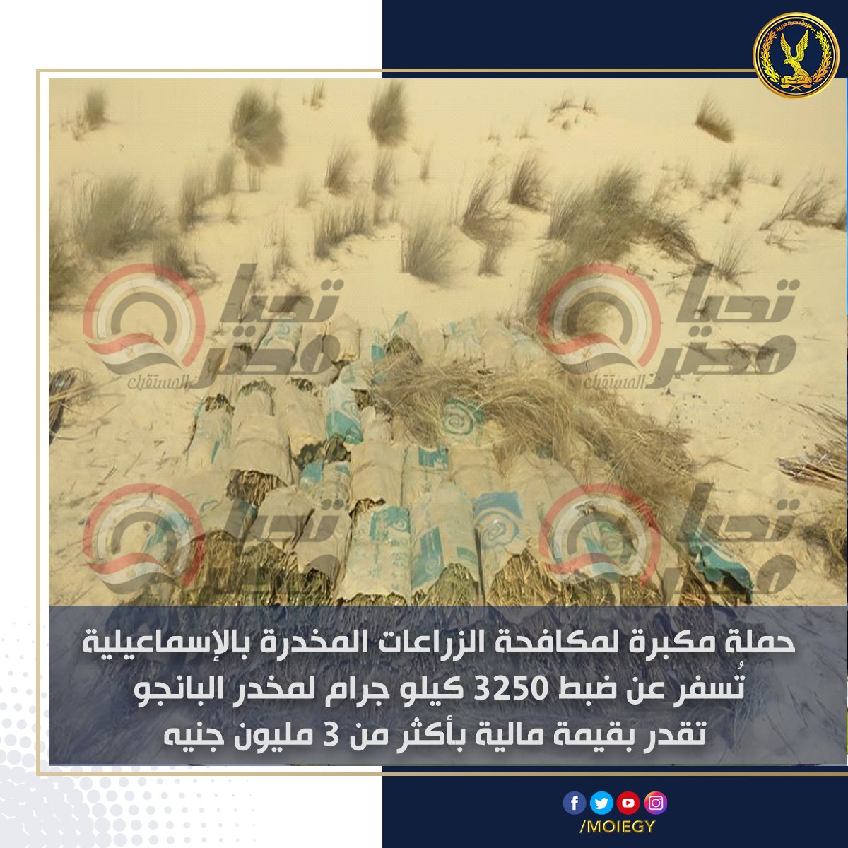 307924989_469989785164411_340838005102540733_n