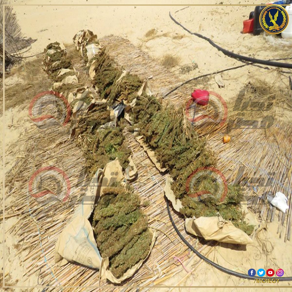 308017965_469989765164413_3614838708371614142_n