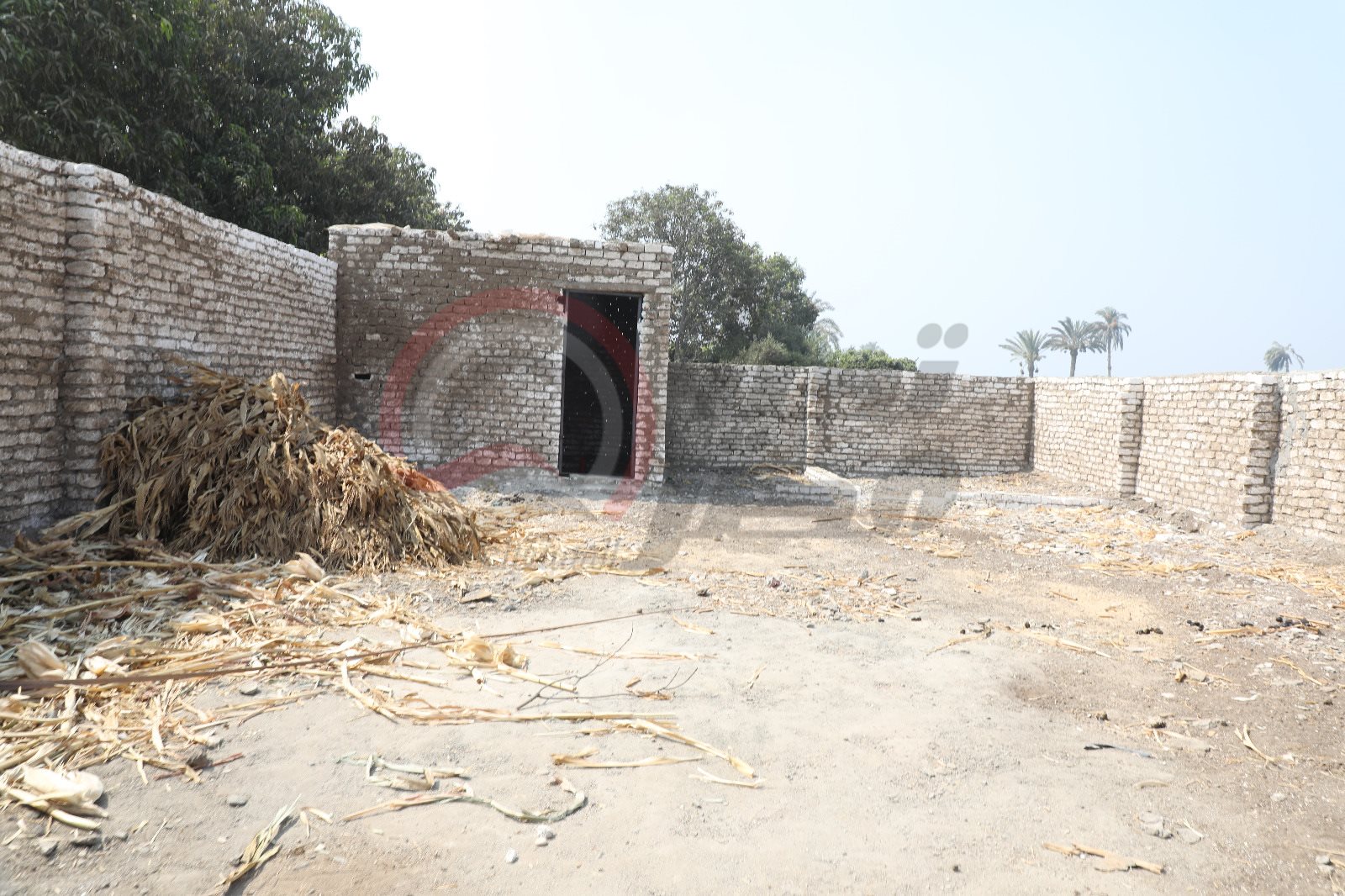 455359484_919047896928868_8235200281556775215_n