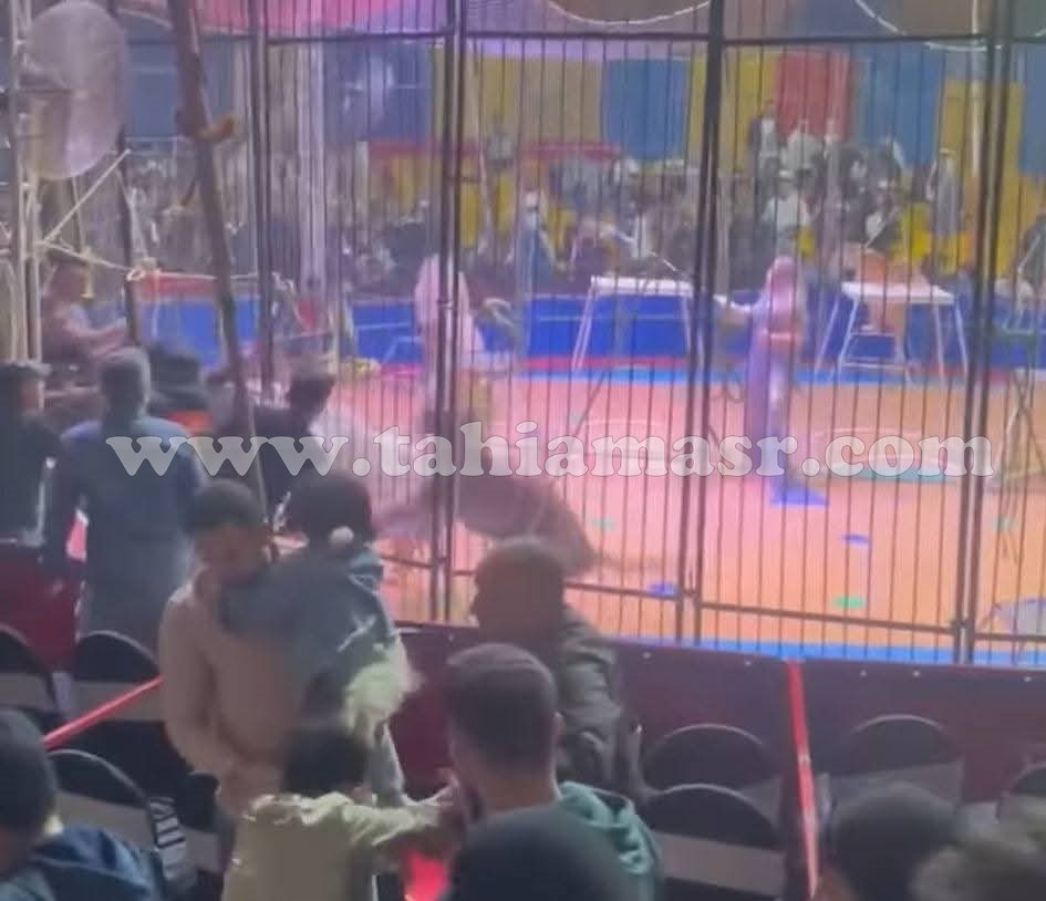 FB_IMG_1743552524286