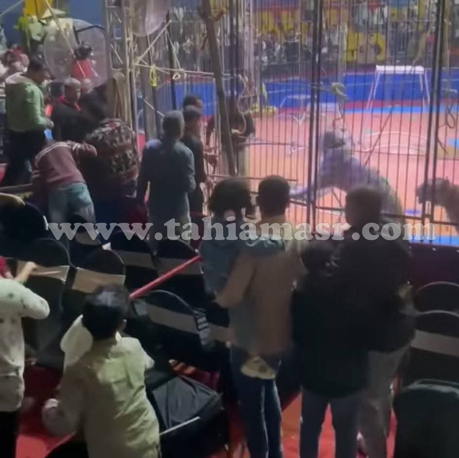 FB_IMG_1743552521123