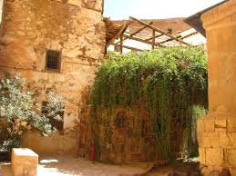 العليقة».. شجرة مُقدسة في سانت كاترين ناجى عندها موسى ربه - الاتحاد للأخبار