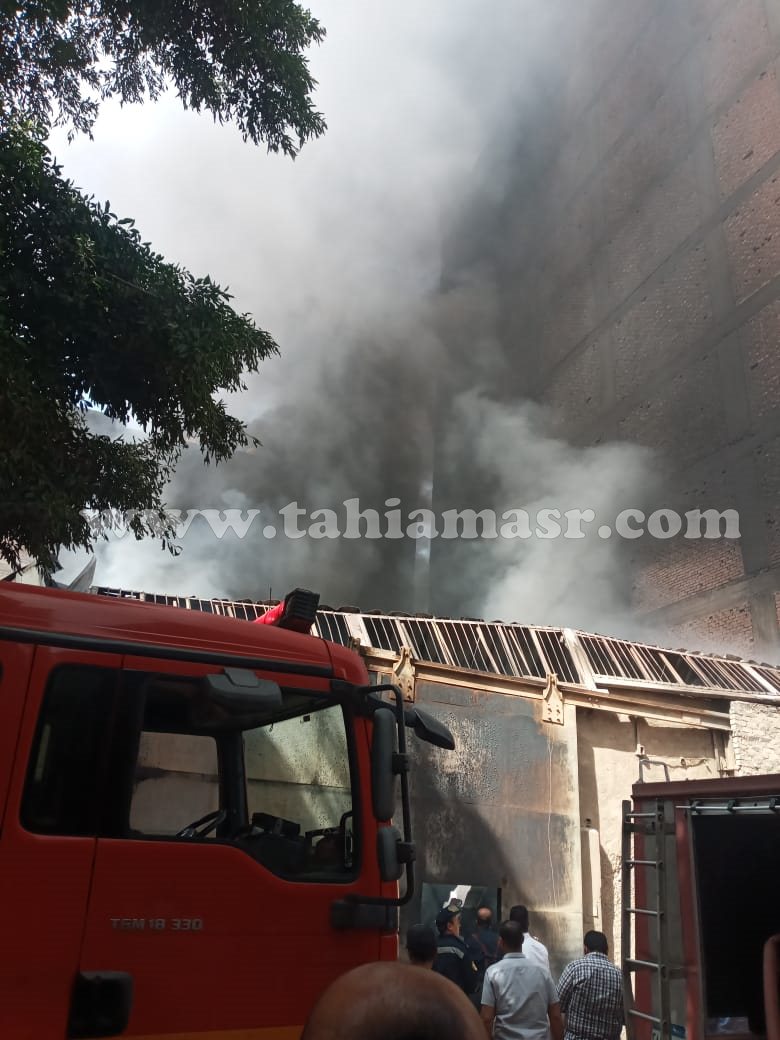 495374380_699858999302686_5875779446242502001_n