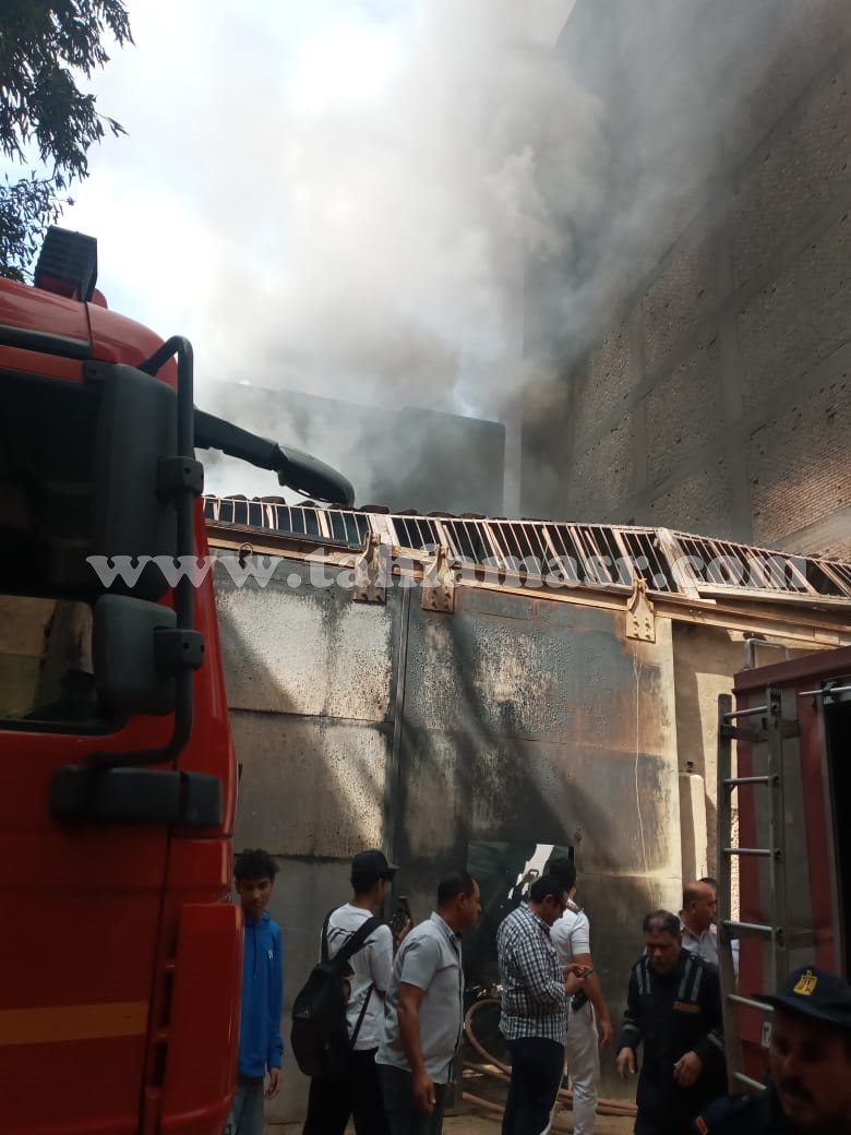 495381372_699858972636022_3021295863097160523_n