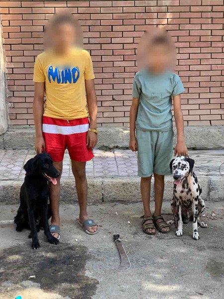 79b18f6d-4fc6-4df7-8_776_035442