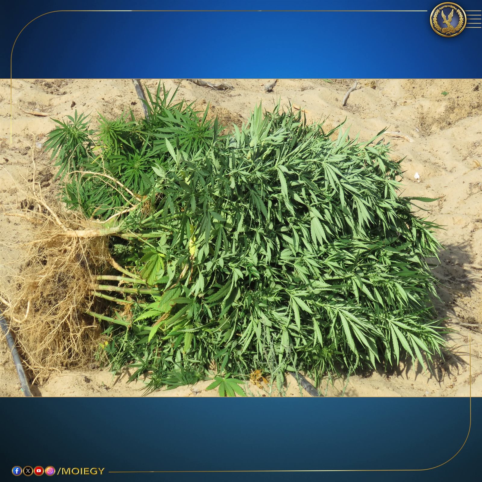 FB_IMG_1755868411047