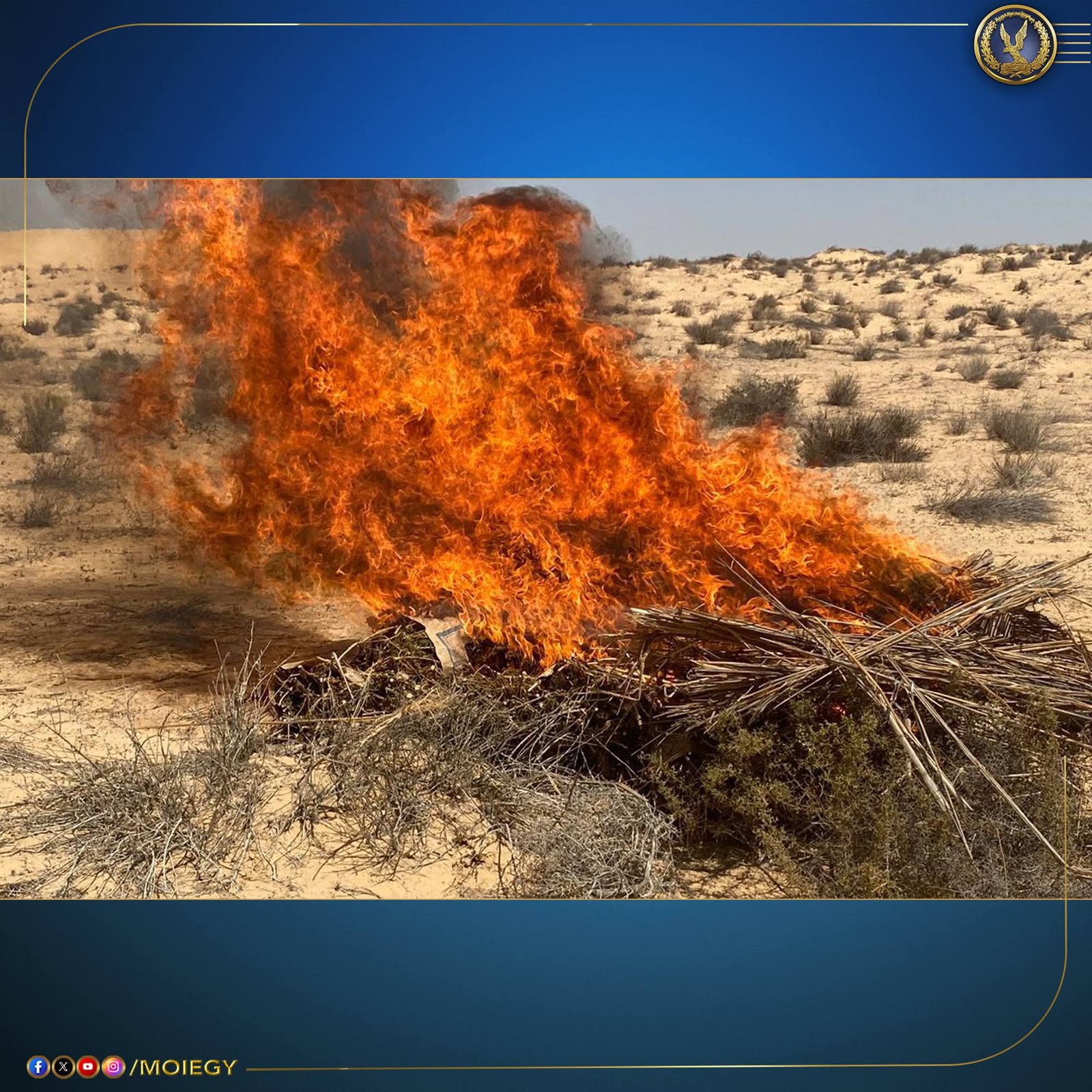 FB_IMG_1755868402373