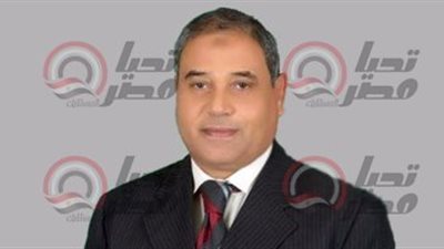  النائب إبراهيم نظير، عضو مجلس النواب    