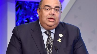 الدكتور محمود محي الدين