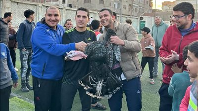 شلبي مع الديك الرومي    