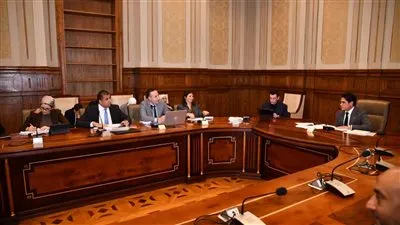 لجنة الشئون المالية والاقتصادية والاستثمار بمجلس الشيوخ    