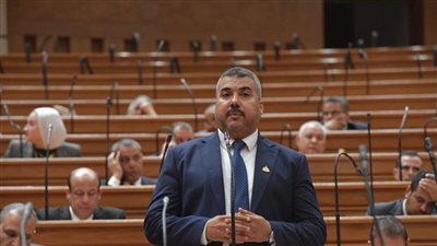 النائب عبد اللطيف أبو الشيخ    