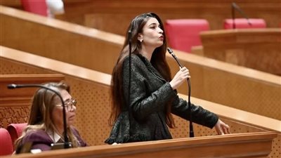 النائبة إيرين سعد    