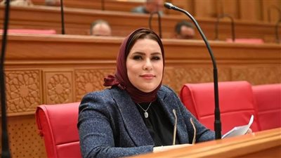 النائبة نيفين الكاتب     