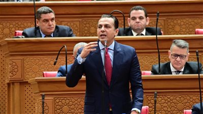 النائب أحمد عبد الجواد     