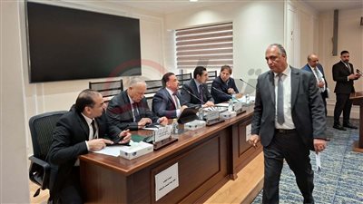 هاني أبو ريدة    