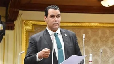 النائب إمام منصور، عضو مجلس النواب    