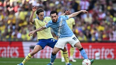 مان سيتي ضد ساوثهامبتون.. ملخص اهداف ونتيجة مباراة مانشستر س    