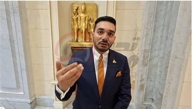 النائب نشات حته    