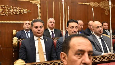  النائب مجدي البري    