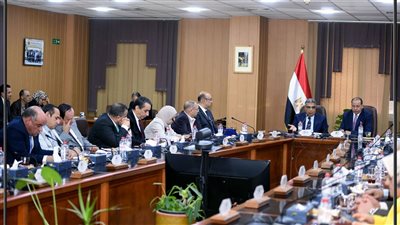 مجلس جامعة المنصورة