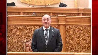 النائب حسام حسن     