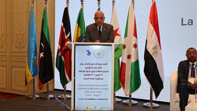 وزير الكهرباء     