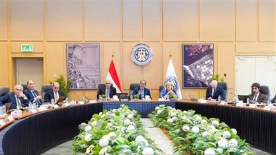 المالية