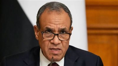 بدر عبد العاطي
