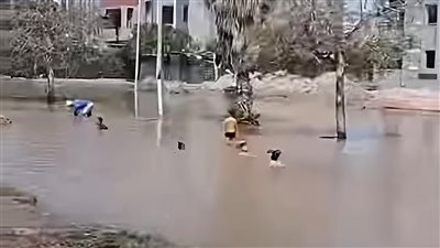 غرق شارع المجاورة 54 بالعاشر في الشرقية