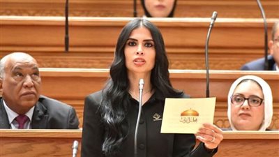 النائبة هايدي المغازي    