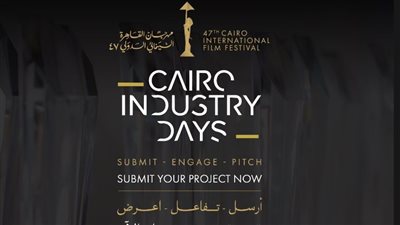مهرجان القاهرة السينمائي الدولي     