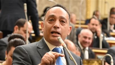 الدكتور فريدي البياضي نائب رئيس الحزب المصري الديمقراطي     