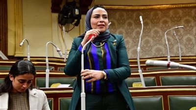 الدكتورة سارة النحاس عضو مجلس النواب     