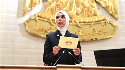 النائبة سجى عمرو هندي عضو لجنة العلاقات الخارجية    