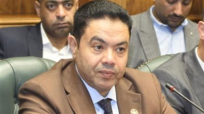 الشرقاوى     