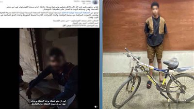 سرقة دراجة هوائية    