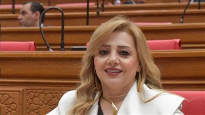 النائبة هبة غالي عضو لجنه العلاقات الخارجية     
