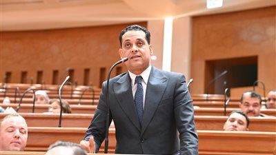 النائب محمد نشأت العمدة    