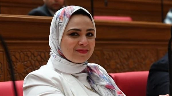 النائبة مروة صالح     
