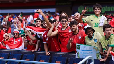 رئيس اتحاد المصريين بالخارج في أمريكا الجالية المصرية جاهزة     