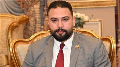 النائب ابراهيم الديب عضو مجلس النواب     