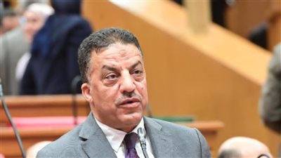النائب فيصل أبو عريضة    