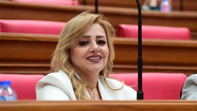 النائبة هبة غالي    