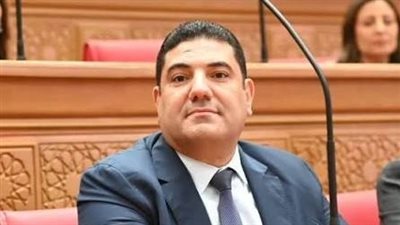 النائب أحمد عبد المجيد    
