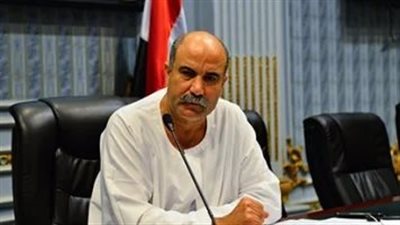  النائب رائف تمراز عضو مجلس النواب    