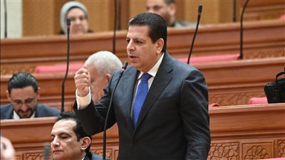 النائب محمود سامي    
