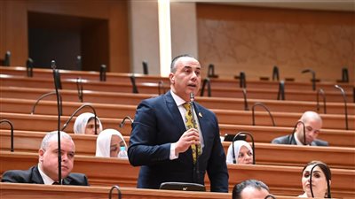 النائب محمد بلتاجي    