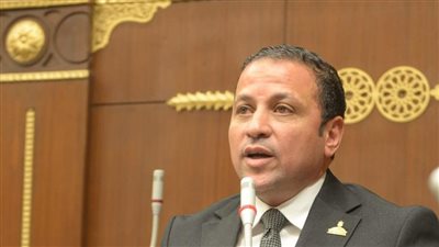 النائب عادل السكري    